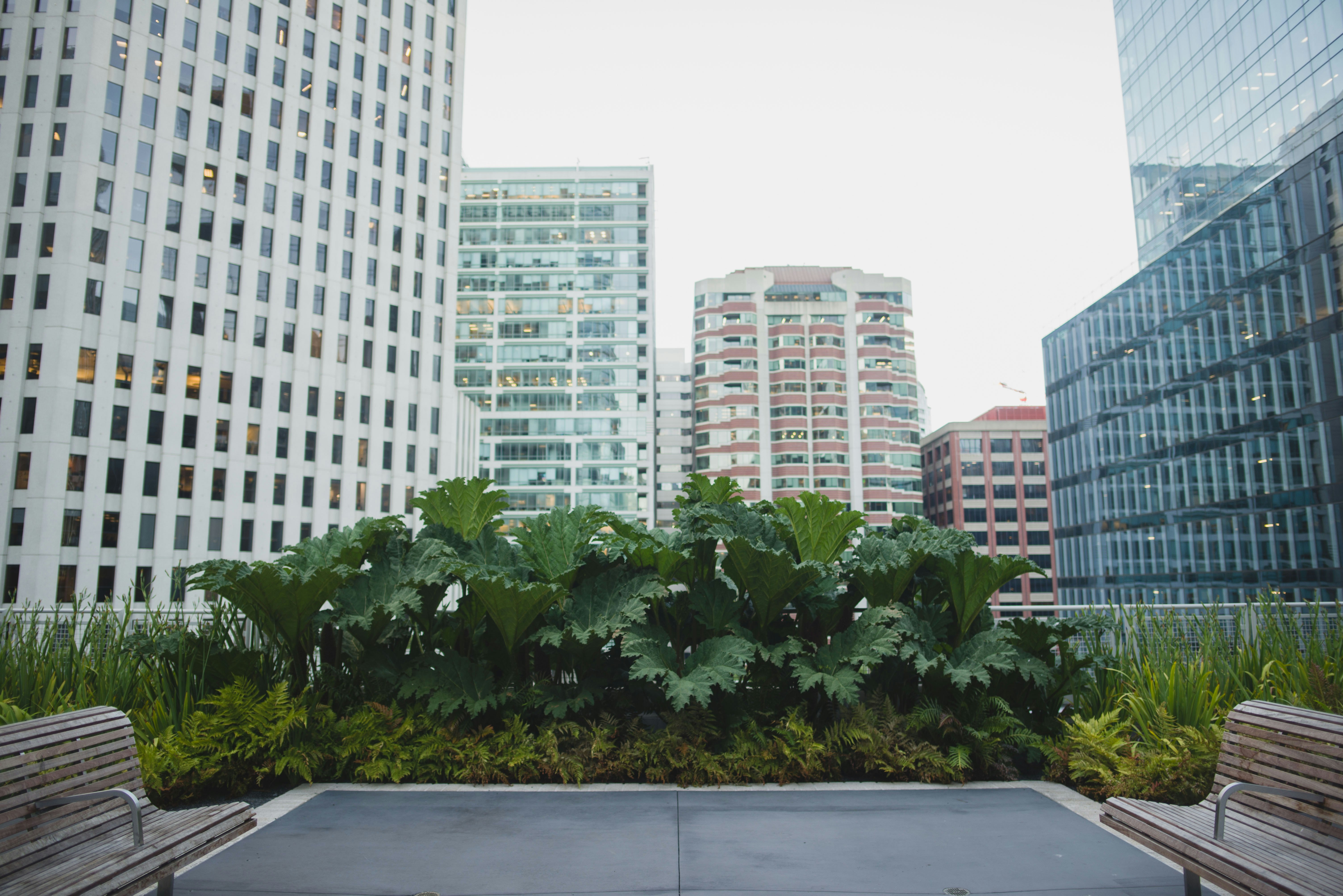 white concrete building near green trees during daytime